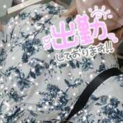 ヒメ日記 2025/03/30 15:09 投稿 きょうこ 西川口ちゃんこ