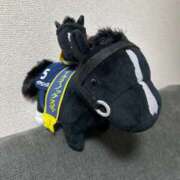 ヒメ日記 2025/06/11 20:15 投稿 似恋 にこ Men's relaxation VEGA