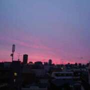 ヒメ日記 2025/07/06 13:35 投稿 凛華（りんか） Salon du M-えっちなお姉さんのM性感デリバリー-五反田店