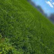 ヒメ日記 2025/07/23 12:30 投稿 凛華（りんか） Salon du M-えっちなお姉さんのM性感デリバリー-五反田店