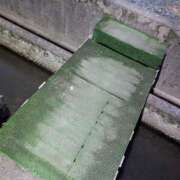 ヒメ日記 2025/08/04 12:06 投稿 凛華（りんか） Salon du M-えっちなお姉さんのM性感デリバリー-五反田店