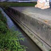 ヒメ日記 2025/08/04 23:21 投稿 凛華（りんか） Salon du M-えっちなお姉さんのM性感デリバリー-五反田店