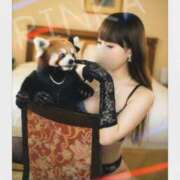 ヒメ日記 2025/11/14 02:08 投稿 凛華（りんか） Salon du M-えっちなお姉さんのM性感デリバリー-五反田店