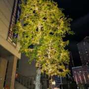 ヒメ日記 2025/12/11 16:48 投稿 凛華（りんか） Salon du M-えっちなお姉さんのM性感デリバリー-五反田店