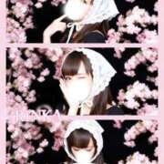 ヒメ日記 2026/03/20 07:08 投稿 凛華（りんか） Salon du M-えっちなお姉さんのM性感デリバリー-五反田店