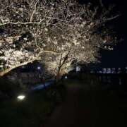 ヒメ日記 2025/04/09 17:39 投稿 ともみ ぽっちゃりデリヘル倶楽部