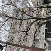 ヒメ日記 2025/03/28 22:30 投稿 西島 鶯うぐ