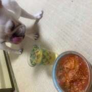 ヒメ日記 2025/03/31 21:58 投稿 西島 鶯うぐ