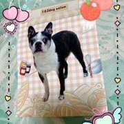 ヒメ日記 2025/09/29 19:00 投稿 西島 鶯うぐ