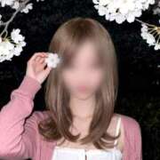 ヒメ日記 2026/03/31 20:32 投稿 新渚(にいな) Chaleur (シャルール)