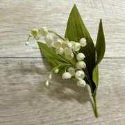 ヒメ日記 2025/04/13 23:47 投稿 すずらん 吉原ファーストレディ