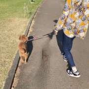 ヒメ日記 2025/04/19 14:06 投稿 すずらん 吉原ファーストレディ