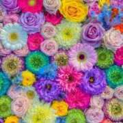 ヒメ日記 2025/04/27 21:20 投稿 すずらん 吉原ファーストレディ