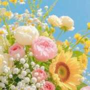 ヒメ日記 2025/04/28 20:20 投稿 すずらん 吉原ファーストレディ