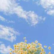 ヒメ日記 2025/04/29 19:16 投稿 すずらん 吉原ファーストレディ