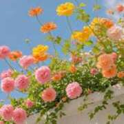 ヒメ日記 2025/05/01 17:17 投稿 すずらん 吉原ファーストレディ