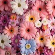 ヒメ日記 2025/05/02 15:32 投稿 すずらん 吉原ファーストレディ