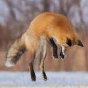 ヒメ日記 2025/05/13 02:16 投稿 すずらん 吉原ファーストレディ