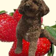 ヒメ日記 2025/05/24 19:06 投稿 すずらん 吉原ファーストレディ