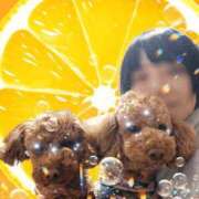 ヒメ日記 2025/05/25 07:16 投稿 すずらん 吉原ファーストレディ