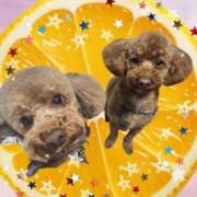 ヒメ日記 2025/06/05 16:15 投稿 すずらん 吉原ファーストレディ