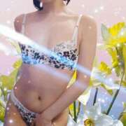 ヒメ日記 2025/06/18 15:16 投稿 すずらん 吉原ファーストレディ