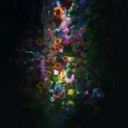 ヒメ日記 2025/07/14 13:24 投稿 すずらん 吉原ファーストレディ