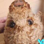 ヒメ日記 2025/07/27 13:17 投稿 すずらん 吉原ファーストレディ