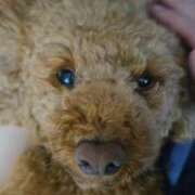 ヒメ日記 2025/07/28 20:36 投稿 すずらん 吉原ファーストレディ