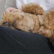 ヒメ日記 2025/07/31 15:06 投稿 すずらん 吉原ファーストレディ