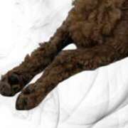 ヒメ日記 2025/08/02 09:17 投稿 すずらん 吉原ファーストレディ