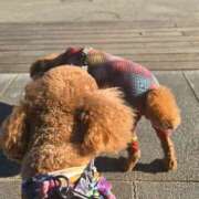 ヒメ日記 2025/08/27 11:06 投稿 すずらん 吉原ファーストレディ