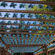 ヒメ日記 2025/05/25 10:41 投稿 あすか WHITE(ホワイト)