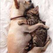 ヒメ日記 2025/07/12 10:37 投稿 あすか WHITE(ホワイト)