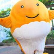 ヒメ日記 2025/12/23 10:51 投稿 あすか WHITE(ホワイト)