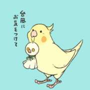 ヒメ日記 2026/08/11 11:44 投稿 あすか WHITE(ホワイト)