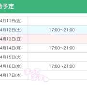 ヒメ日記 2025/04/11 20:49 投稿 綾瀬すみれ ミセスハンズ