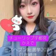 ヒメ日記 2025/10/29 13:04 投稿 楓(かえで) チューリップ宇都宮店