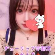 ヒメ日記 2025/11/18 21:59 投稿 楓(かえで) チューリップ宇都宮店