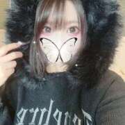 ヒメ日記 2025/12/06 18:39 投稿 楓(かえで) チューリップ宇都宮店