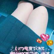 ヒメ日記 2025/08/29 03:05 投稿 真田涼夏 五十路マダム 沼津店(カサブランカグループ)