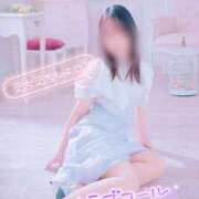 ヒメ日記 2026/01/28 06:21 投稿 真田涼夏 五十路マダム 沼津店(カサブランカグループ)