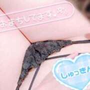 ヒメ日記 2026/01/31 17:09 投稿 真田涼夏 五十路マダム 沼津店(カサブランカグループ)