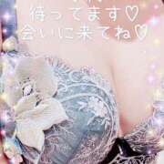 あやか ♡待ってます♡ 新横浜ちゃんこ