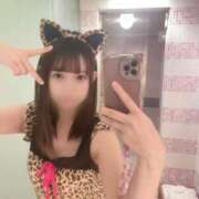 ヒメ日記 2026/04/20 20:50 投稿 りこ 黒い金魚（札幌）