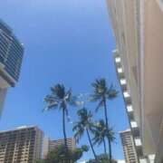 ヒメ日記 2025/06/28 17:02 投稿 あんじゅ 渋谷蘭の会