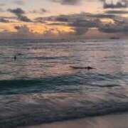 ヒメ日記 2025/10/09 17:05 投稿 あんじゅ 渋谷蘭の会