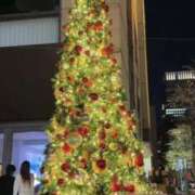 ヒメ日記 2025/11/01 21:55 投稿 あんじゅ 渋谷蘭の会