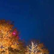 ヒメ日記 2025/11/08 19:05 投稿 あんじゅ 渋谷蘭の会