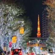 ヒメ日記 2025/11/10 19:35 投稿 あんじゅ 渋谷蘭の会